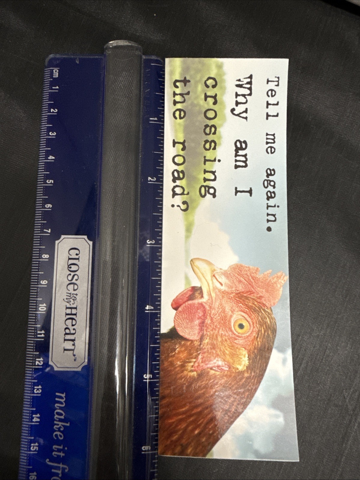 2000s Y2K Scholastic Book Fair Deep Ink Sticker Bookmark Tell Me Again Why Am I