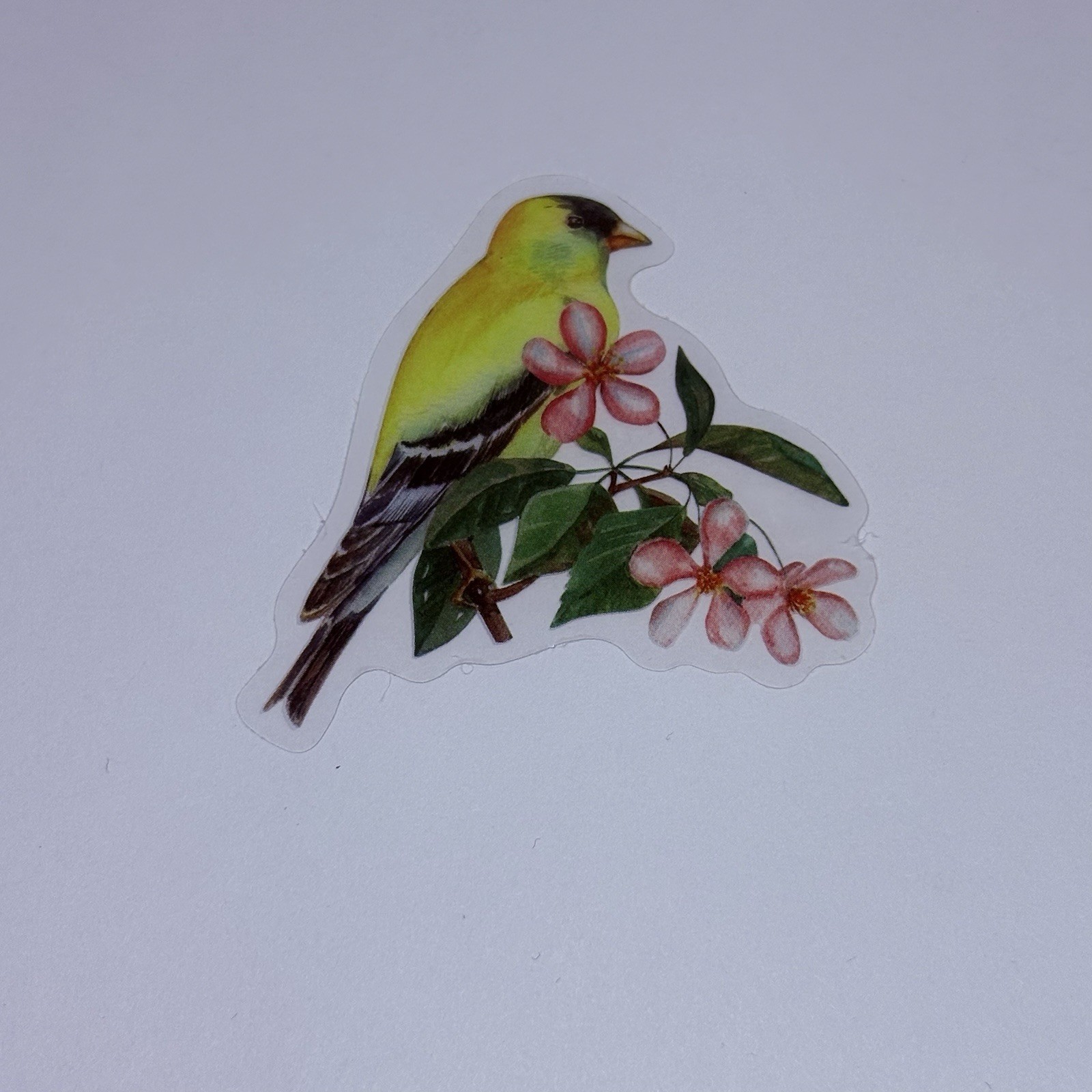 American Goldfinch Sticker Animal Art Transparent Journal Decal Vinyl Tc6