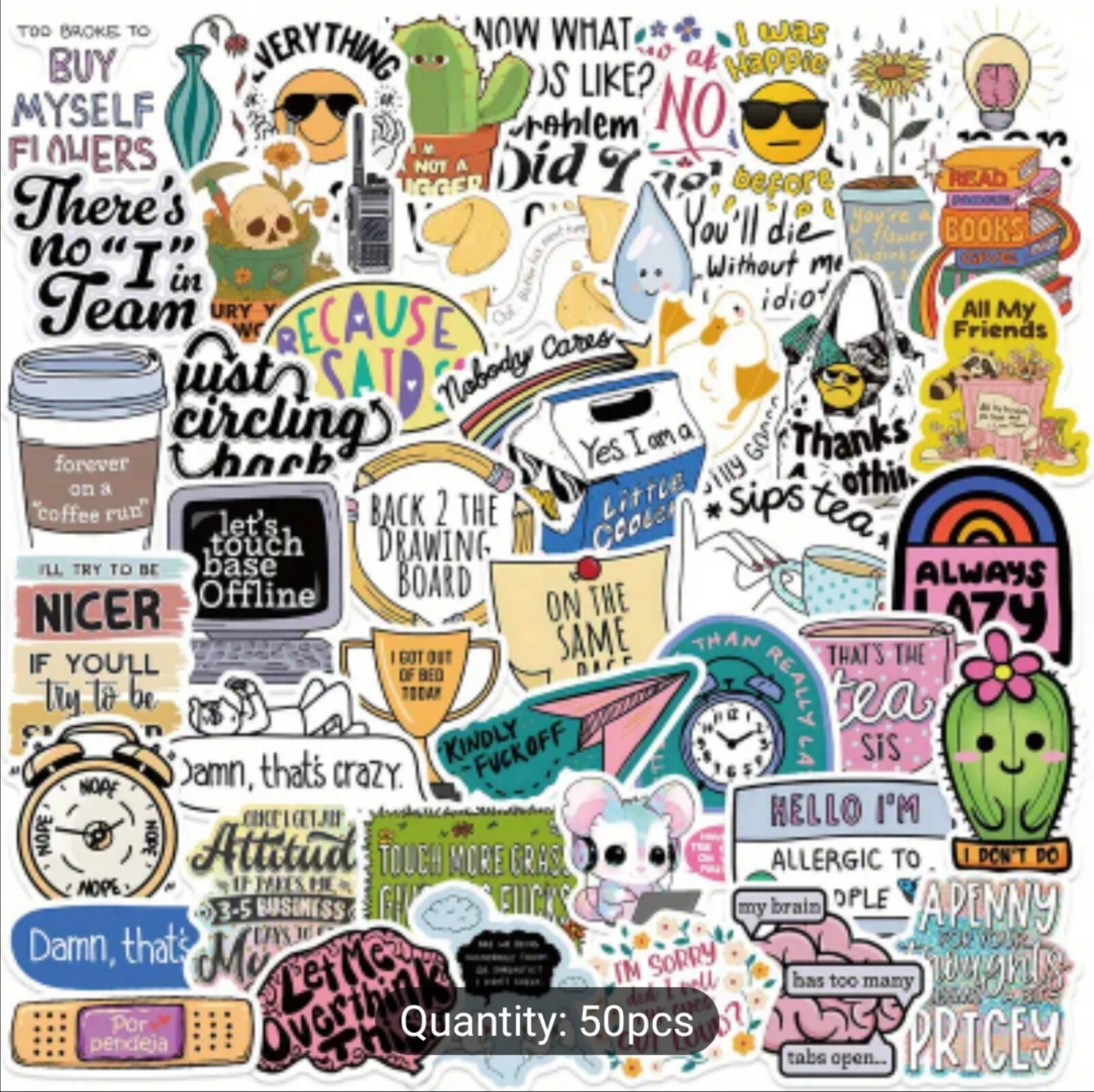 10 PCS Sarcastic Funny Sayings Quotes Stickers BRAND NEW