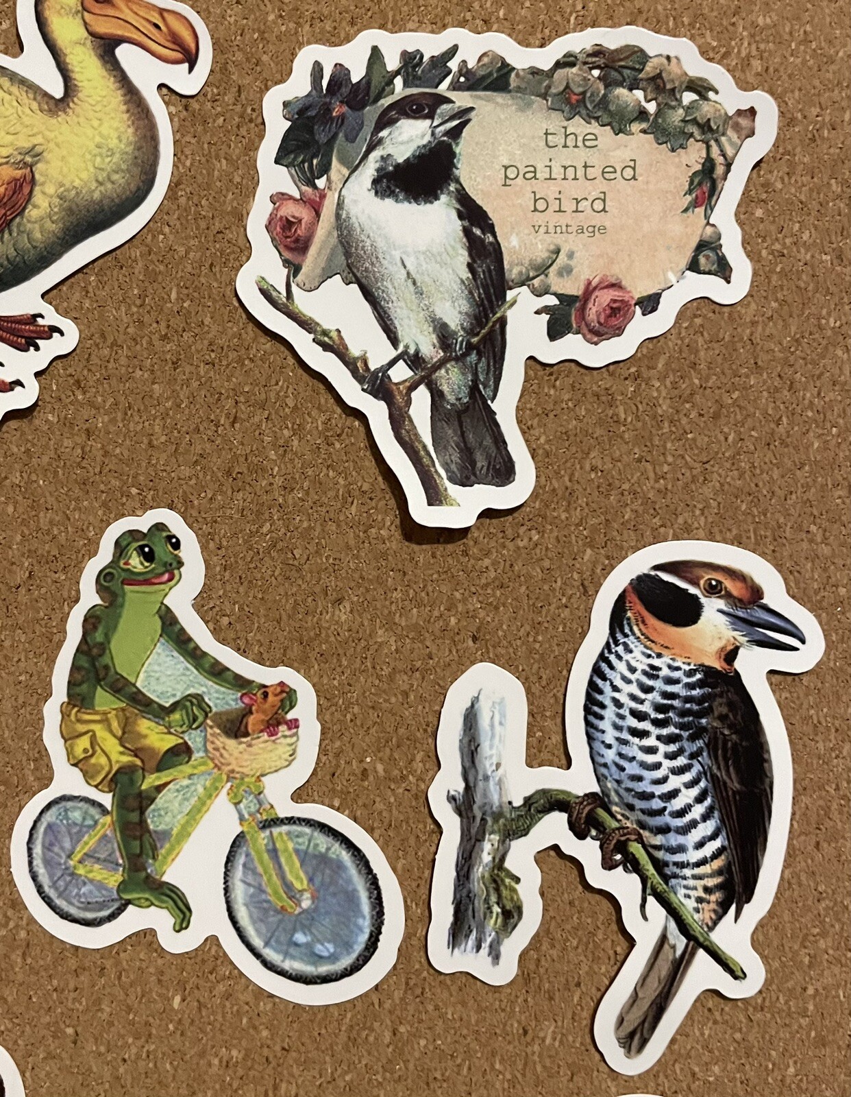 Animal Vinyl Stickers 21 Realistic & Silly Frog Toad Bird Water-Resistant Reward