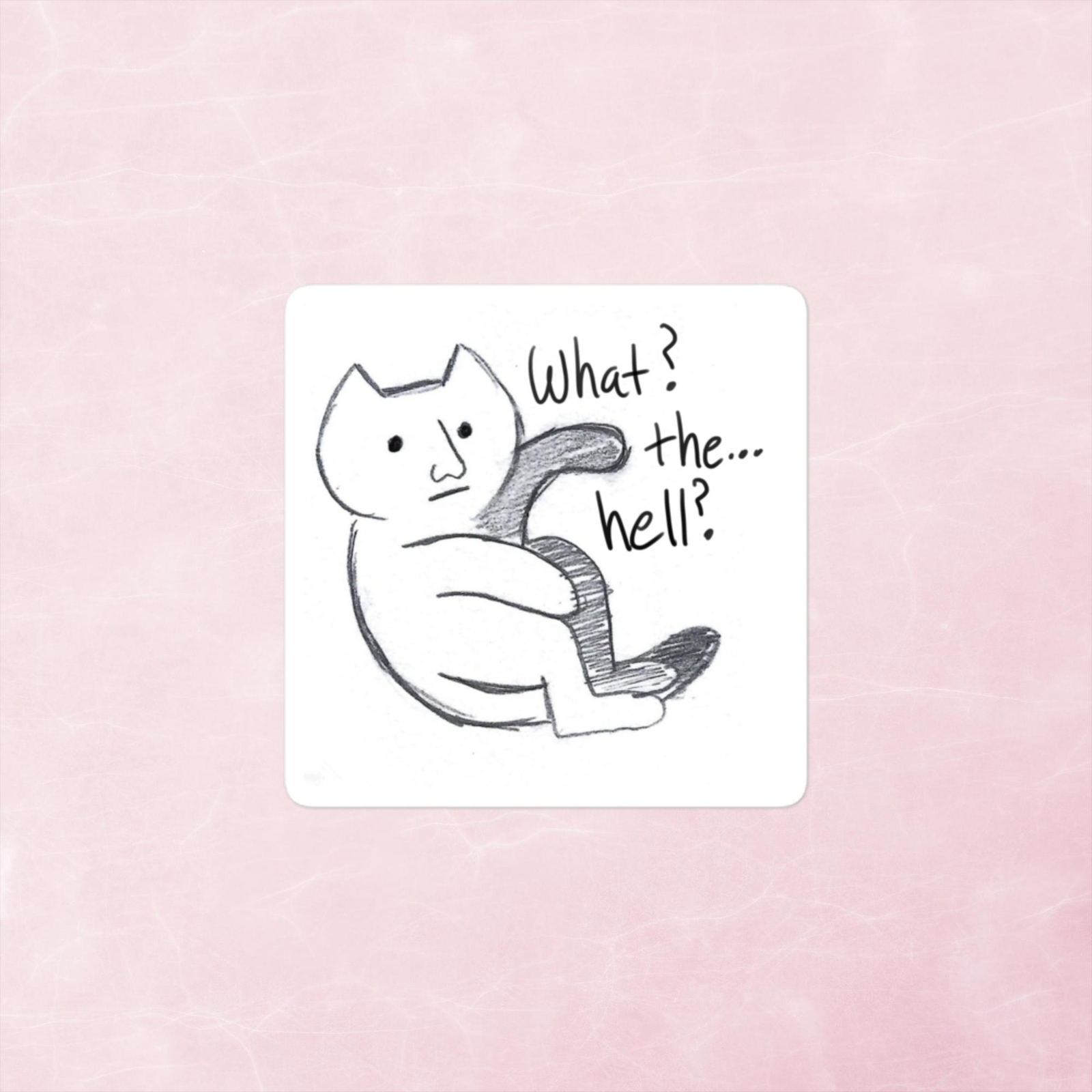 What the hell cat