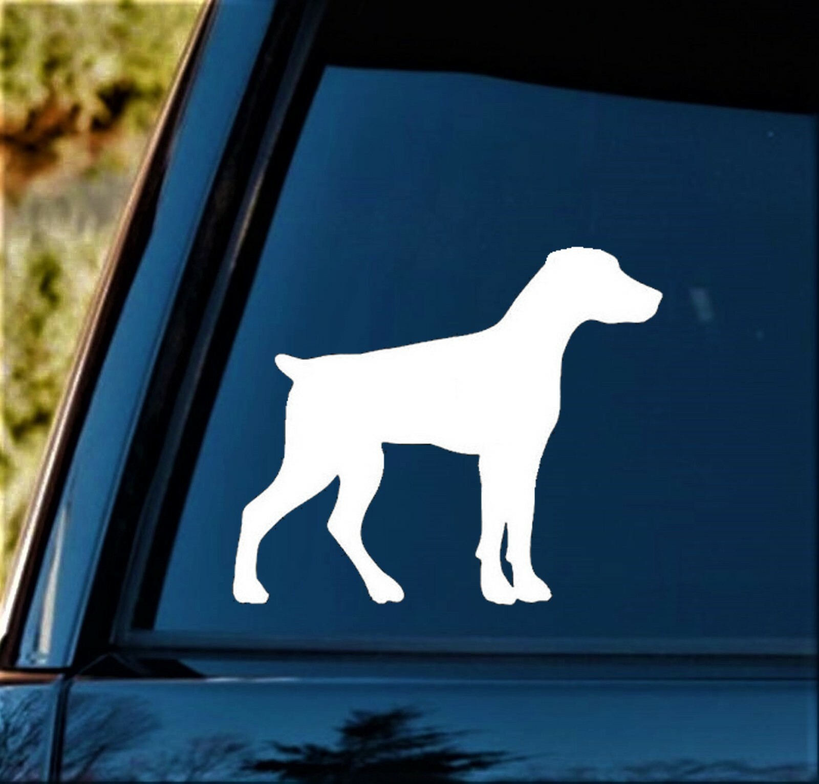 Doberman Pinscher Natural Ears Min Pin Decal Sticker for Car Window BG 780