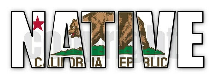 California Native Flag Stickers Flag Decals Vinyl Indoor Outdoor Stickers