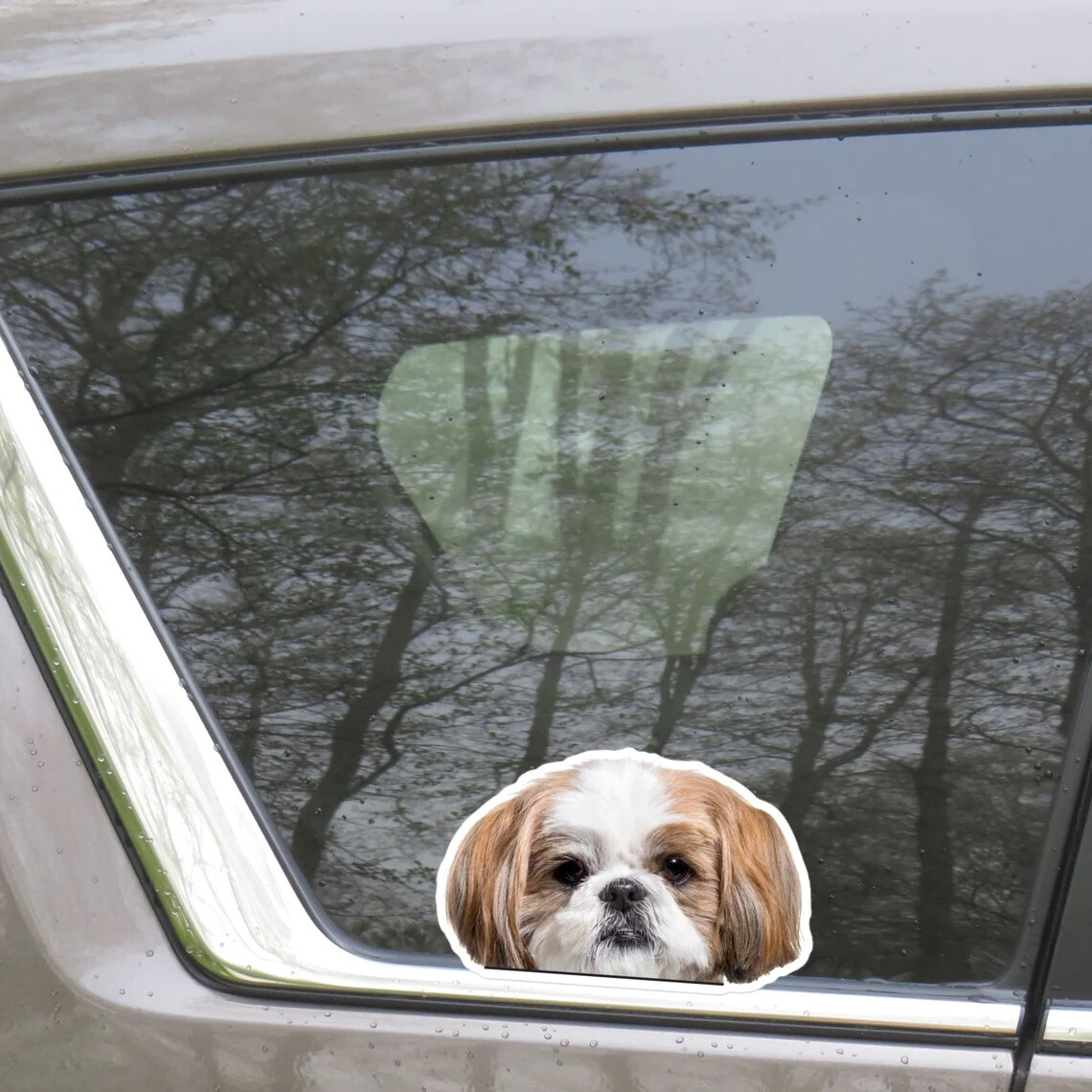 Gold&White Shih Tzu Car Sticker / Peeking Real Dog Head Vinyl Decal Waterproof