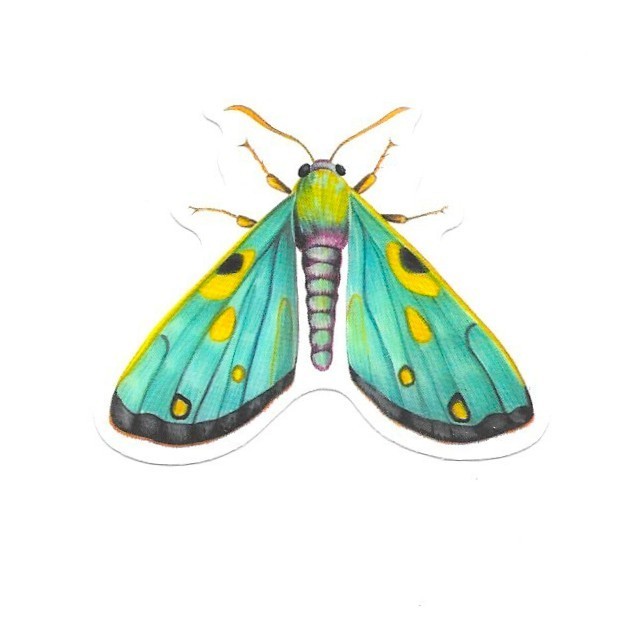 Teal Turquoise Moth Vinyl Sticker Vintage Butterfly Insect Journal Laptop Craft