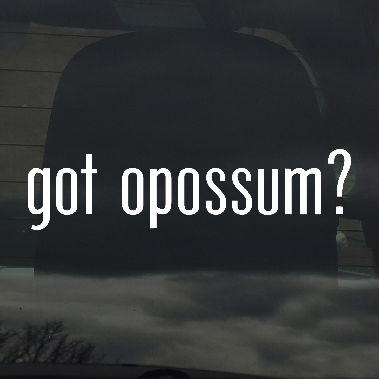 Got Opossum? Custom Vinyl Sticker / Decal Possum, Wildlife, Animals, Marsupial