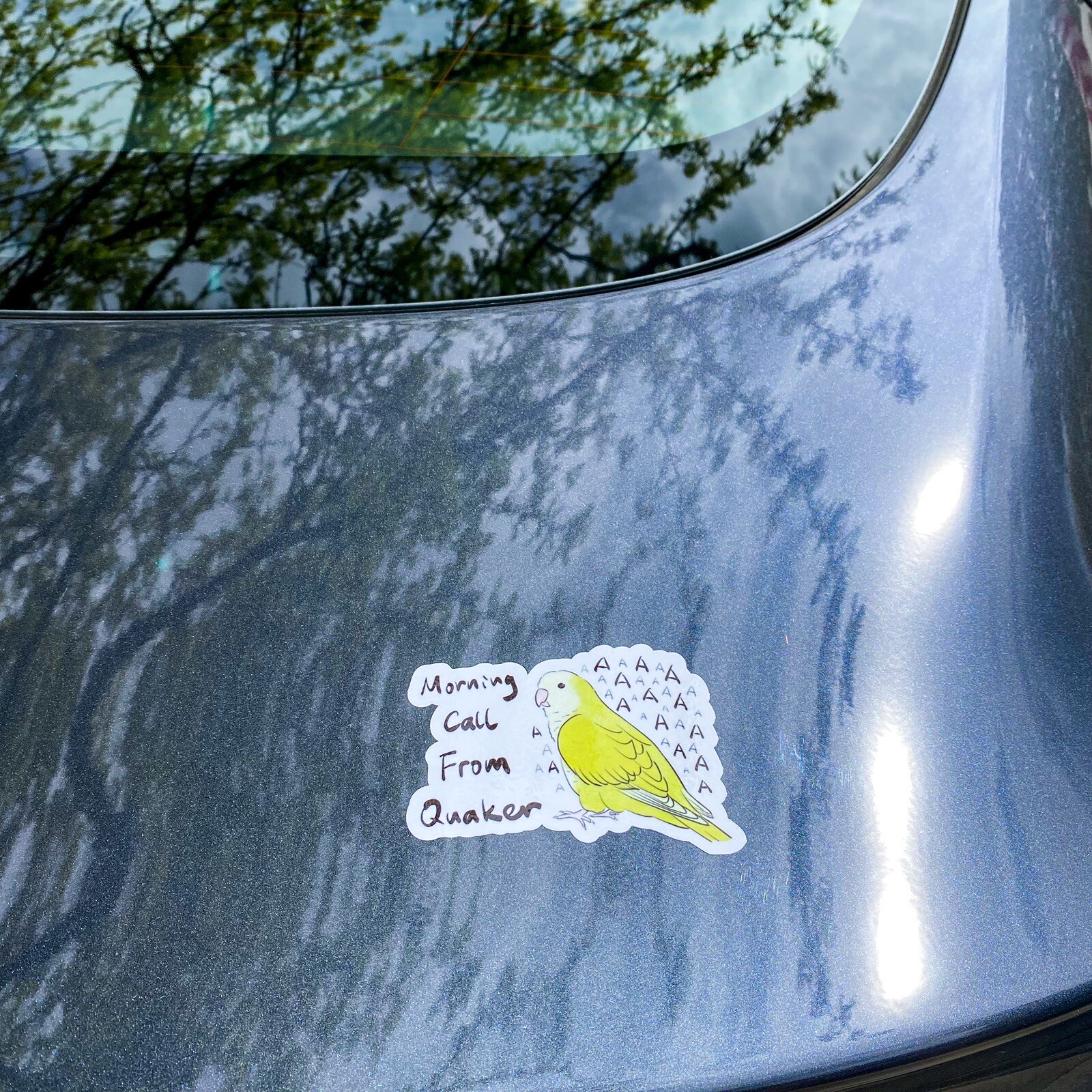 CAR Sticker Yellow Quaker Parrot Monk Parrot Outdoor use/UV & Water Proof
