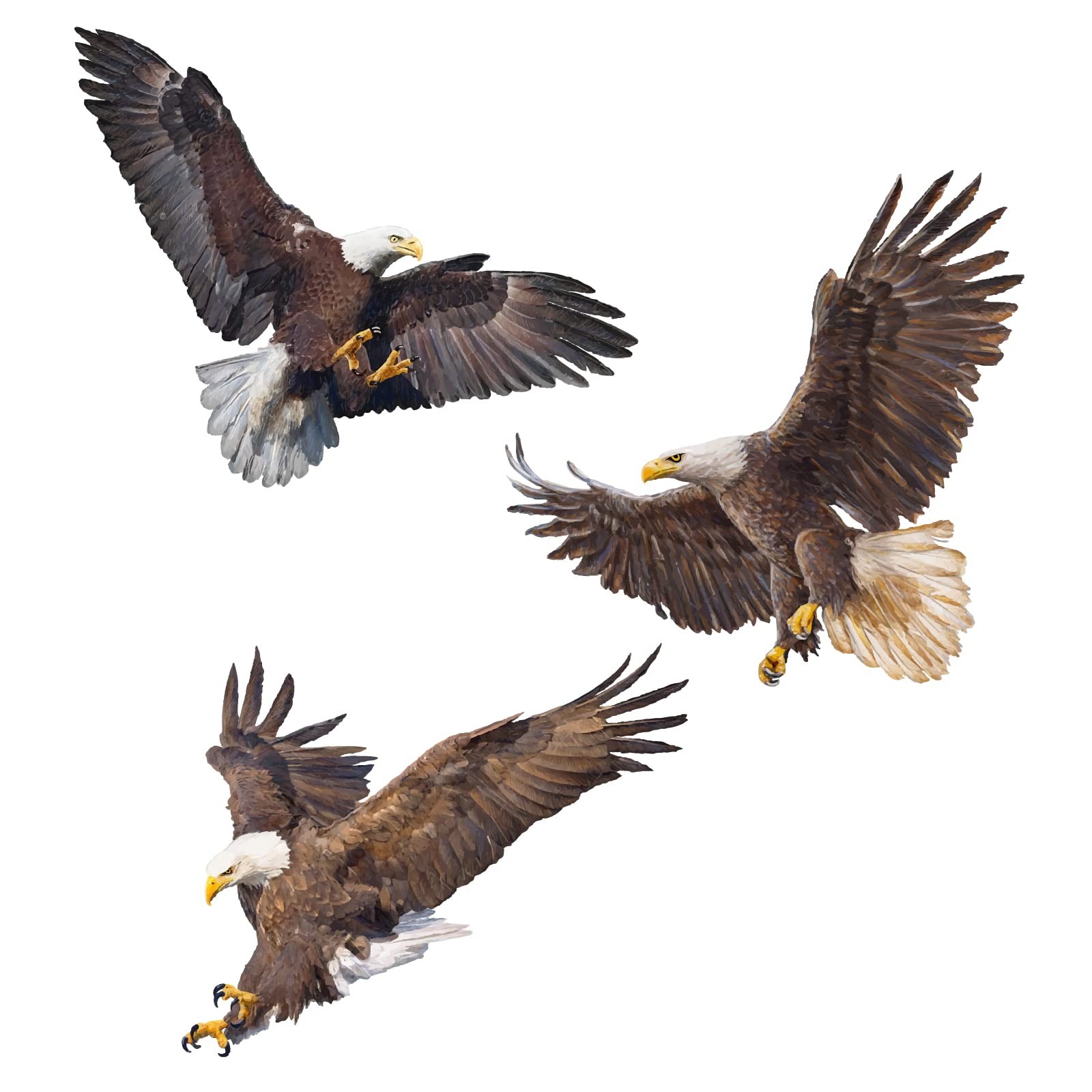 3 Pcs Flying Bald Eagles Birds Wall Stickers, Removable Vinyl Peel and Stick …