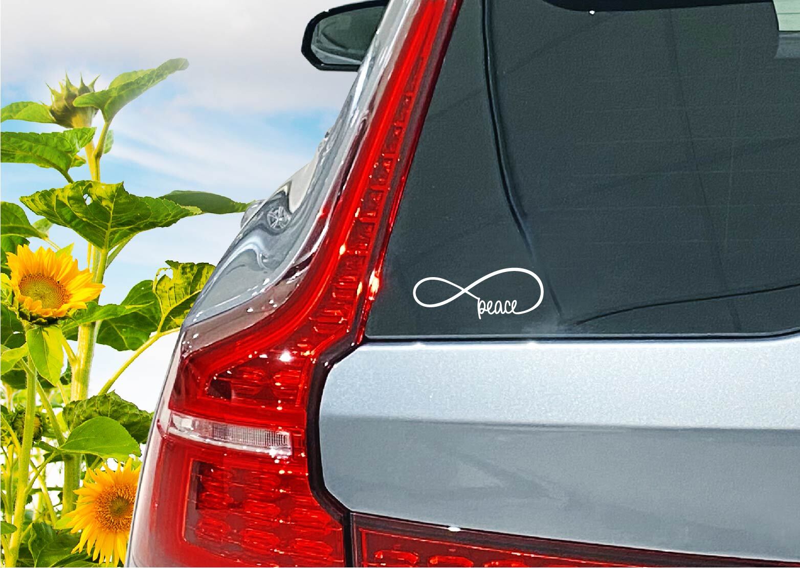 Infinity Peace Decal Sticker Life Love Symbol Never Ending World Live Family