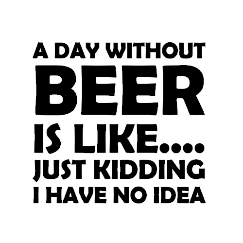 Beer Decal  A day without BEER decal for Cooler  decal for refrigerator