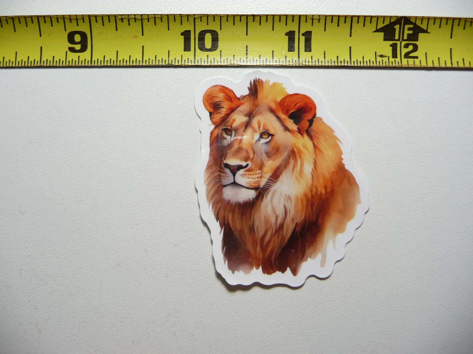 DREAMY LION HEAD LEFT SMALL STICKER DECAL WILDLIFE PRESERVE NATURE ANIMAL