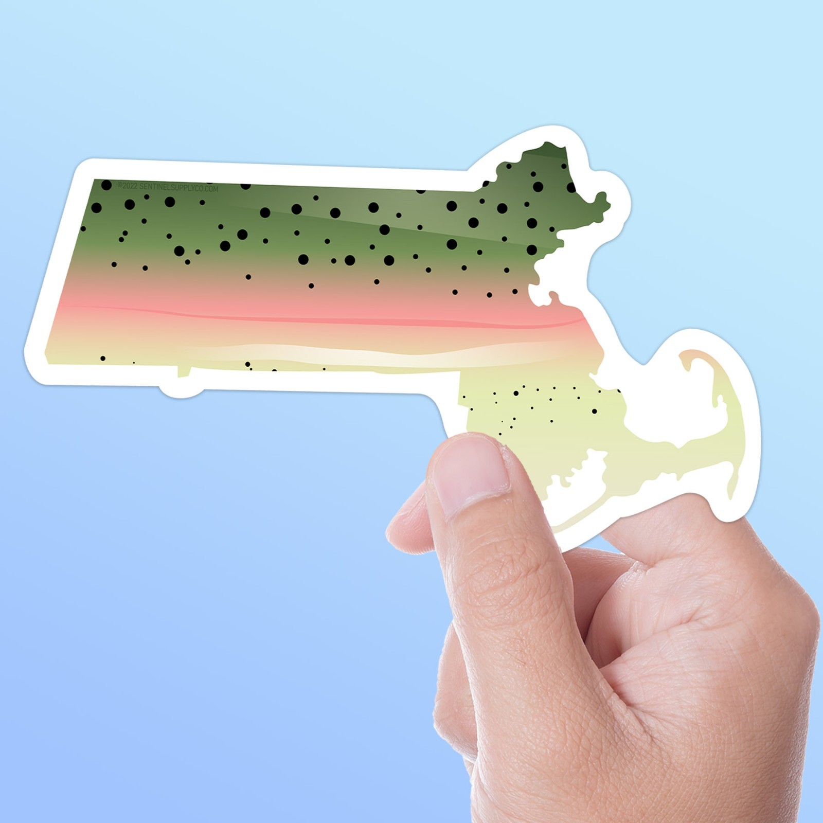 Rainbow Trout Massachusetts Fishing Sticker