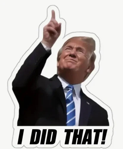 100PCS Trump I Did that Stickers, 2 Inch Waterproof Vinyl Decals Funny Bumper St