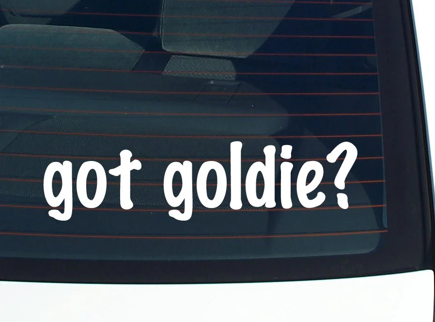 got goldie? FUNNY VINYL CAR DECAL STICKER FAMILY LAST NAME