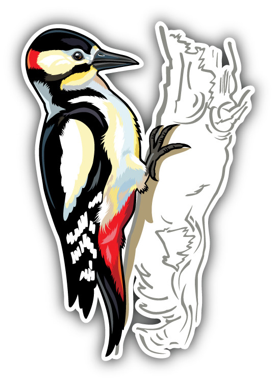 Great Spotted Woodpecker Car Bumper Sticker Decal – "SIZES"