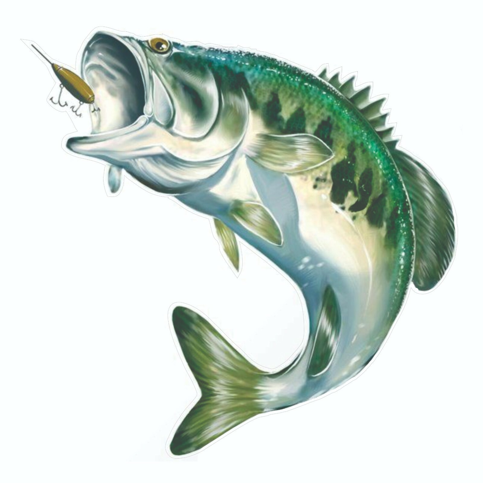 Large Mouth Bass Sticker, Decal, Bumper Sticker Truck, Fishing, Boat Stickers