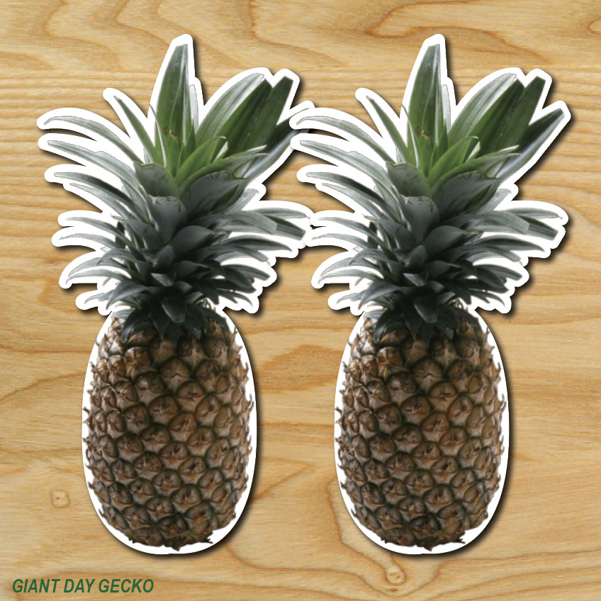 (2) Pineapple Piña Fruit Tropical Funny car Laptop Wall Sticker Decal USA