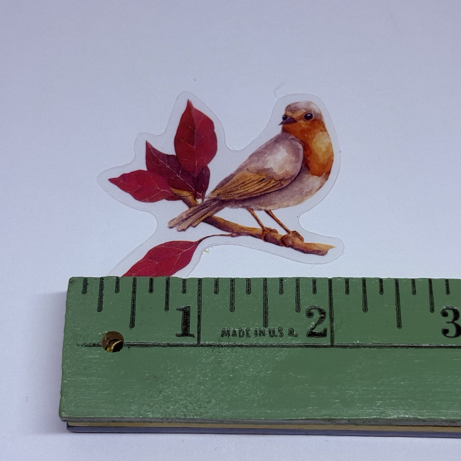 European Robin Leaves Branch Animal Art Transparent Journal Decal VinylTc6