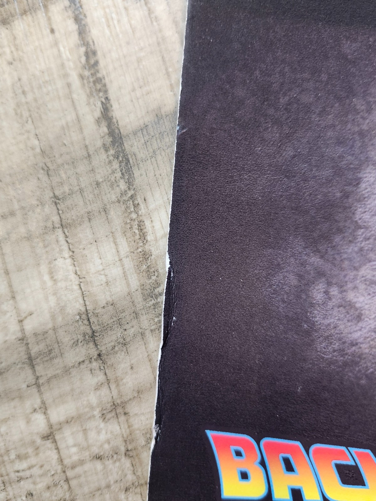 RARE: Back To The Future Poster, from Chicago Comicon 2022, No others on EBAY