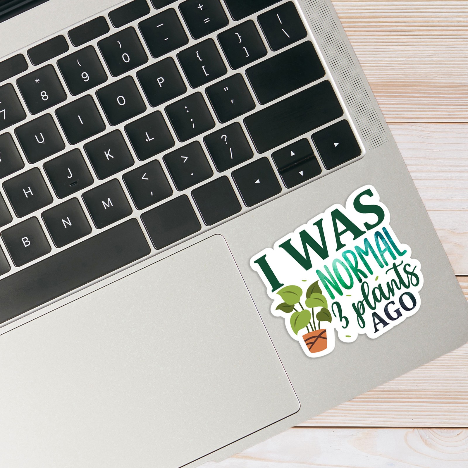 I Was Normal Plants Ago – Vinyl Decal Sticker – Car Window Laptop – #1567