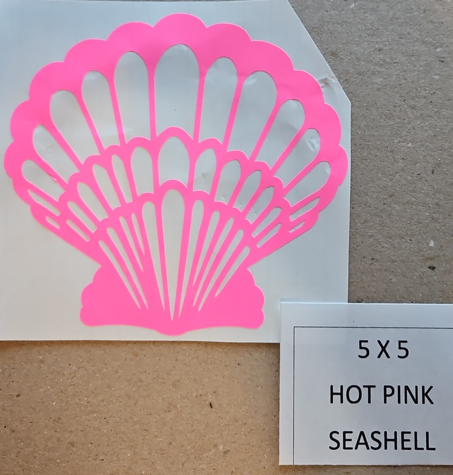 Hot Pink Seashell 5" x 5" Vinyl Window Decal