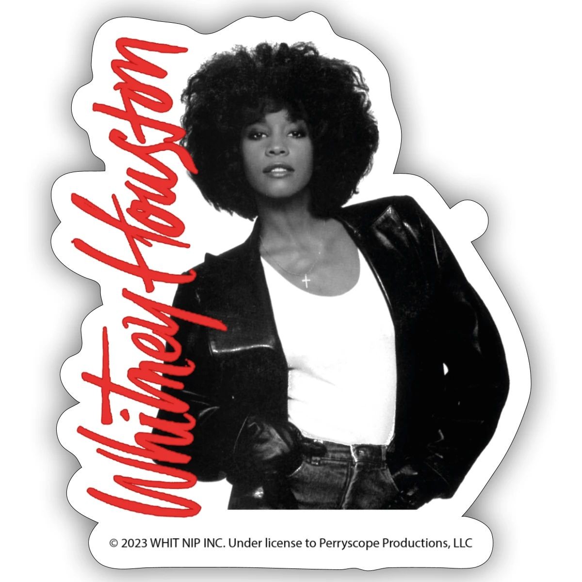 Whitney Houston Photo with Pink Nameplate Sticker, max. 4 x 4"