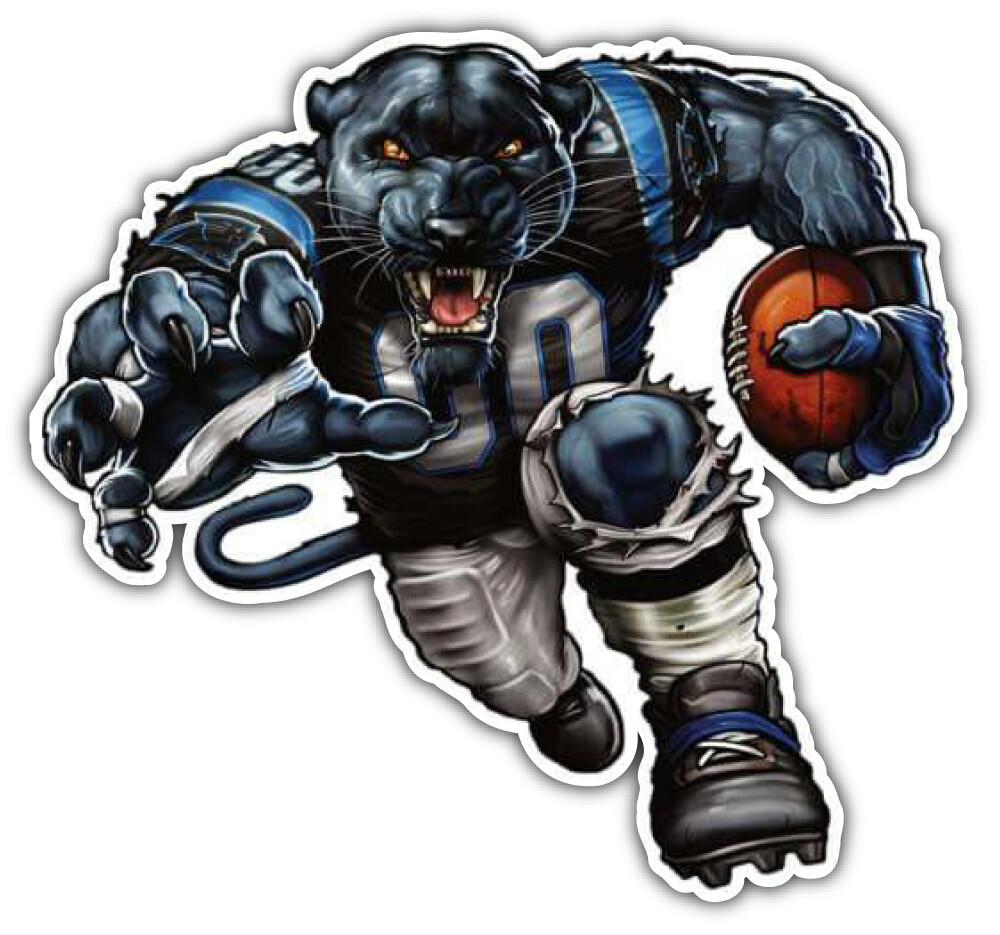 Carolina Panthers Football Logo NFL Sport Car Bumper Sticker Decal "SIZES"