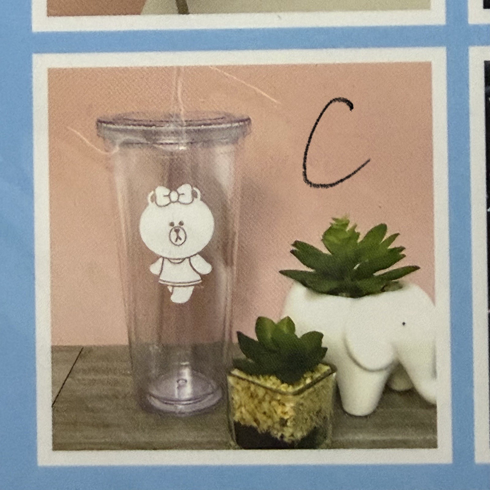 Line Friends Decal Sticker 1 PC FREE SHIPPING