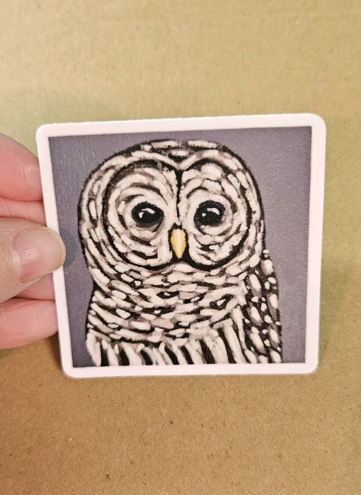 Owl Sticker Matte Vinyl, Original Art, 2.5" Square Sticker of Barred Owl Art