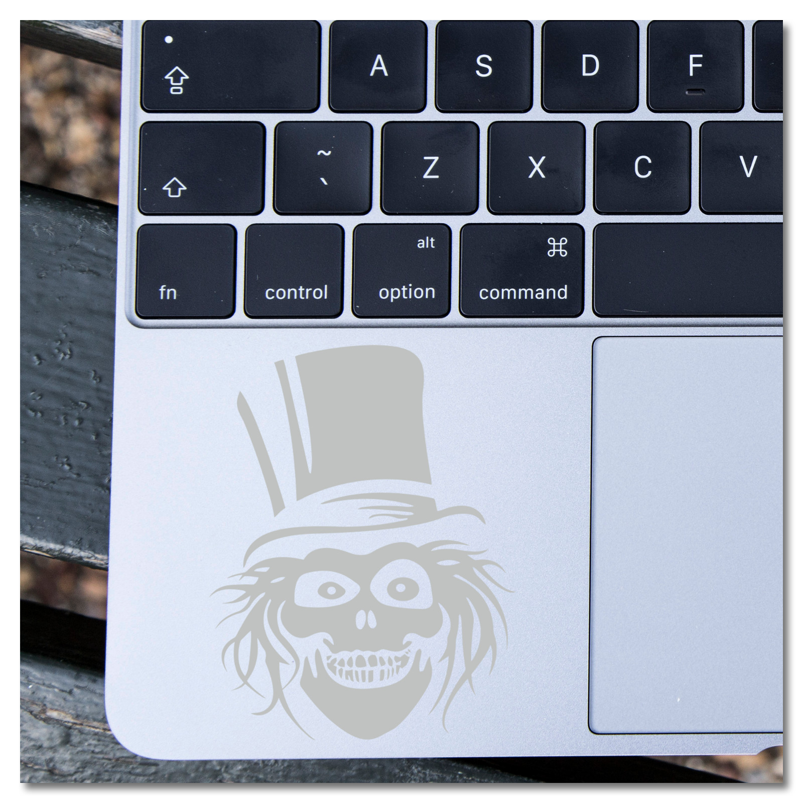 6" Haunted Mansion Hatbox Ghost Disney Vinyl Decal Sticker