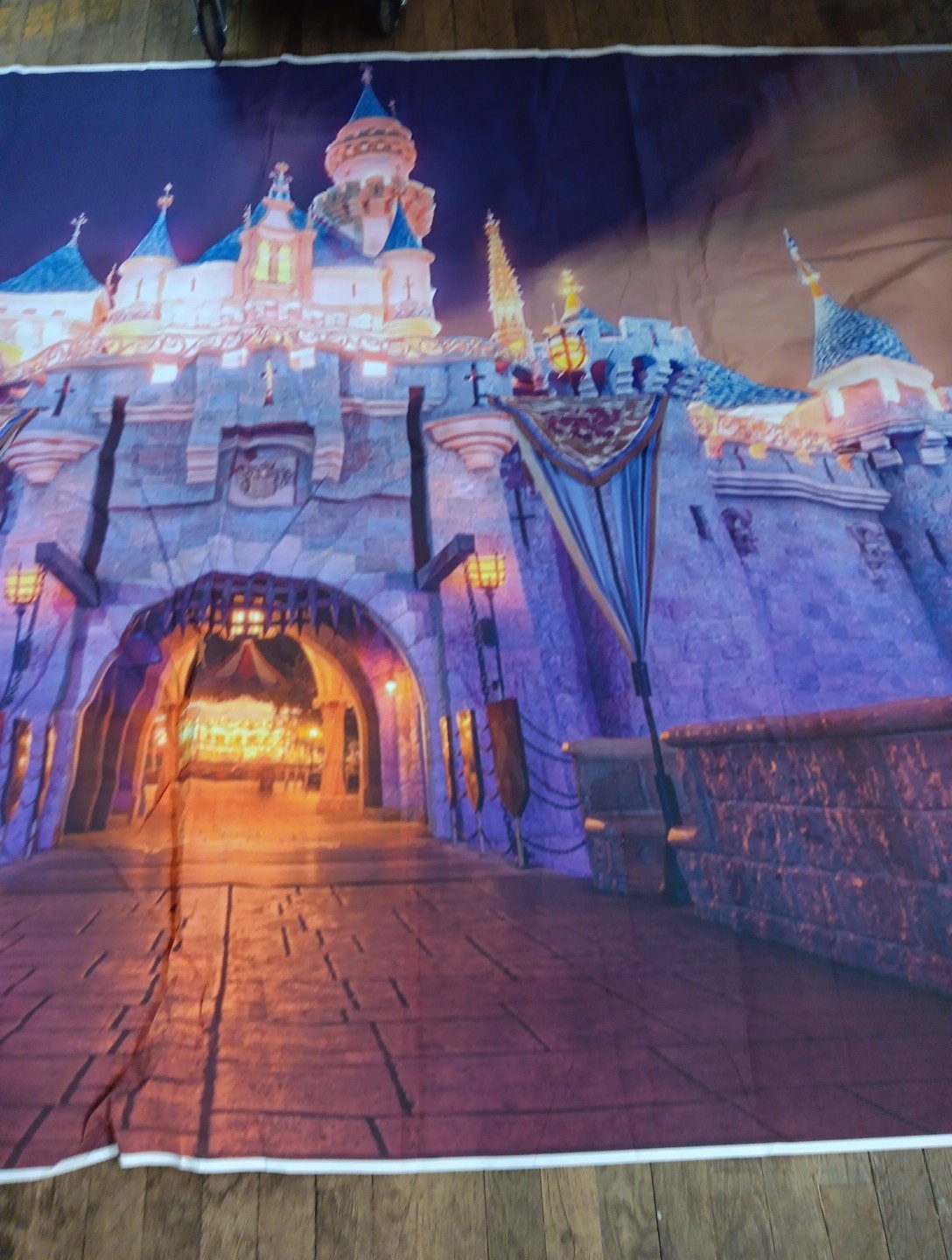 WALL MURAL PRINCESS DISNEY CASTLE BEDROOM VINYL GRAPHIC Tapestry Vinyl 72"x60"