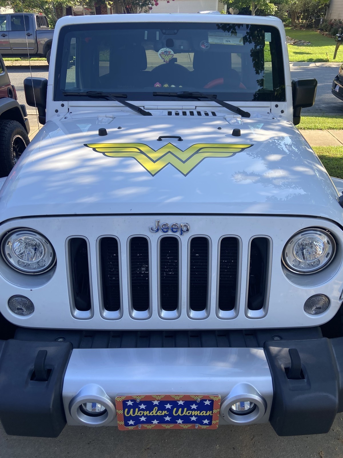 WONDER WOMAN Vinyl Decal Sticker Comic Dawn of Justice League CAR TRUCK LAPTOP