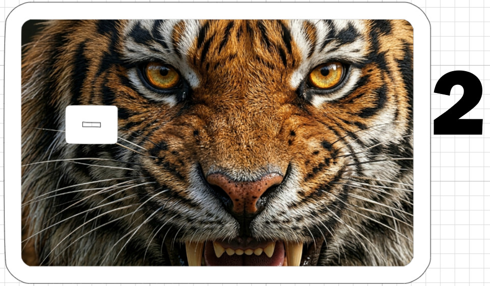 Tiger Face ATM Debit Credit Gift Card Sticker Skin Rainbow Cat White Bengal Eyes