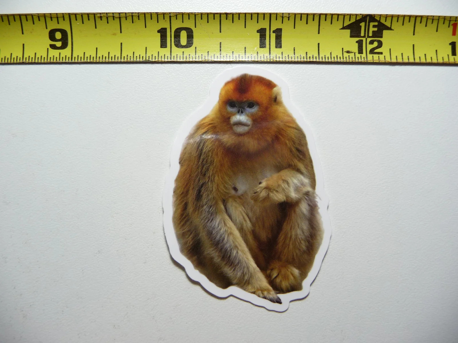 GOLDEN SNUB NOSE MONKEY SMALL STICKER DECAL WILDLIFE PRESERVE NATURE ANIMAL