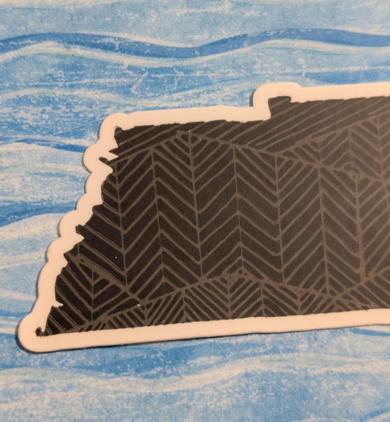 REI Co-op Tennessee State Sticker – Chattanooga, TN Grand Opening – Outdoor Life