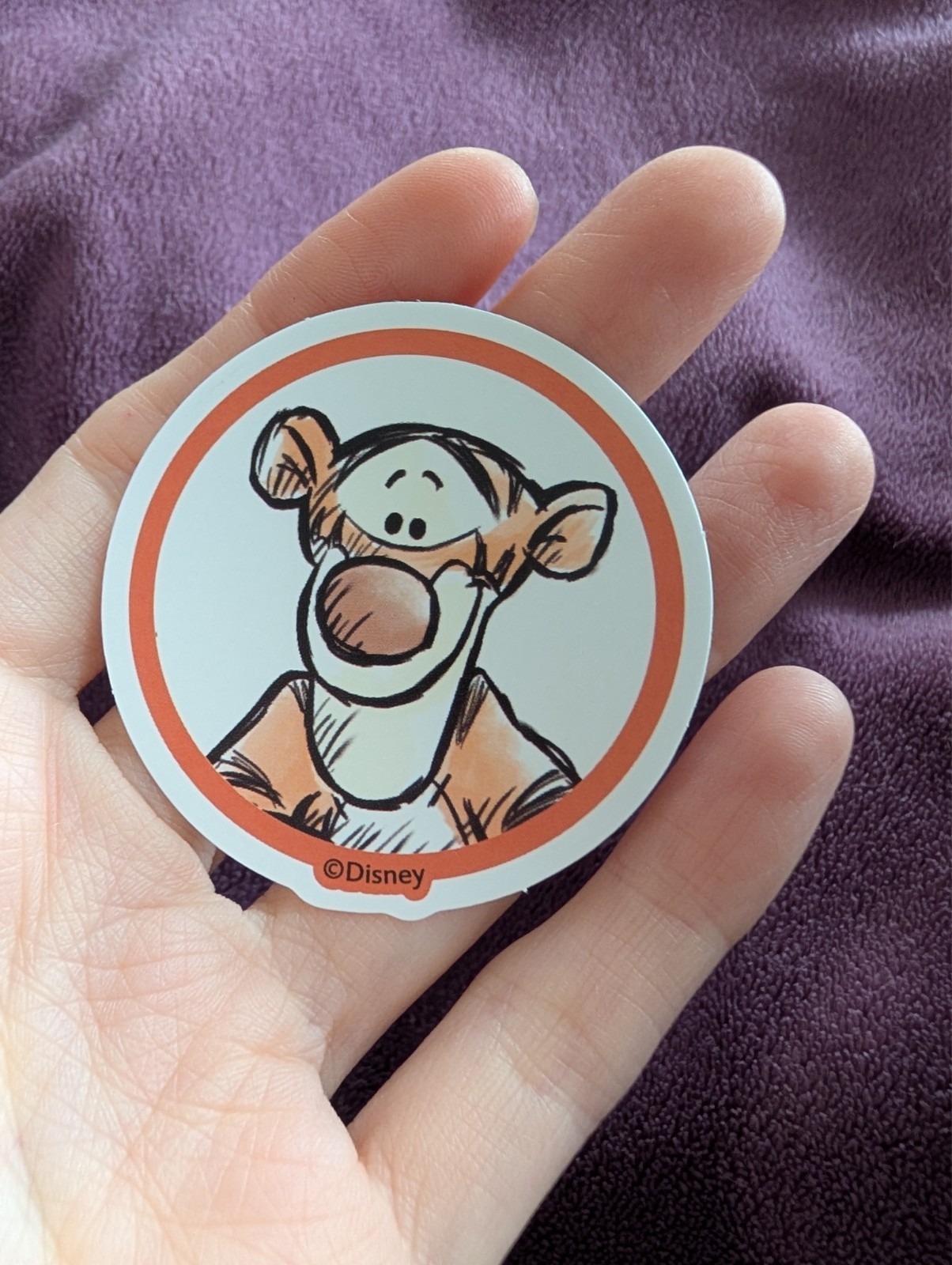 Winnie the Pooh Sticker | Whimsical Cartoon Vinyl, Tigger