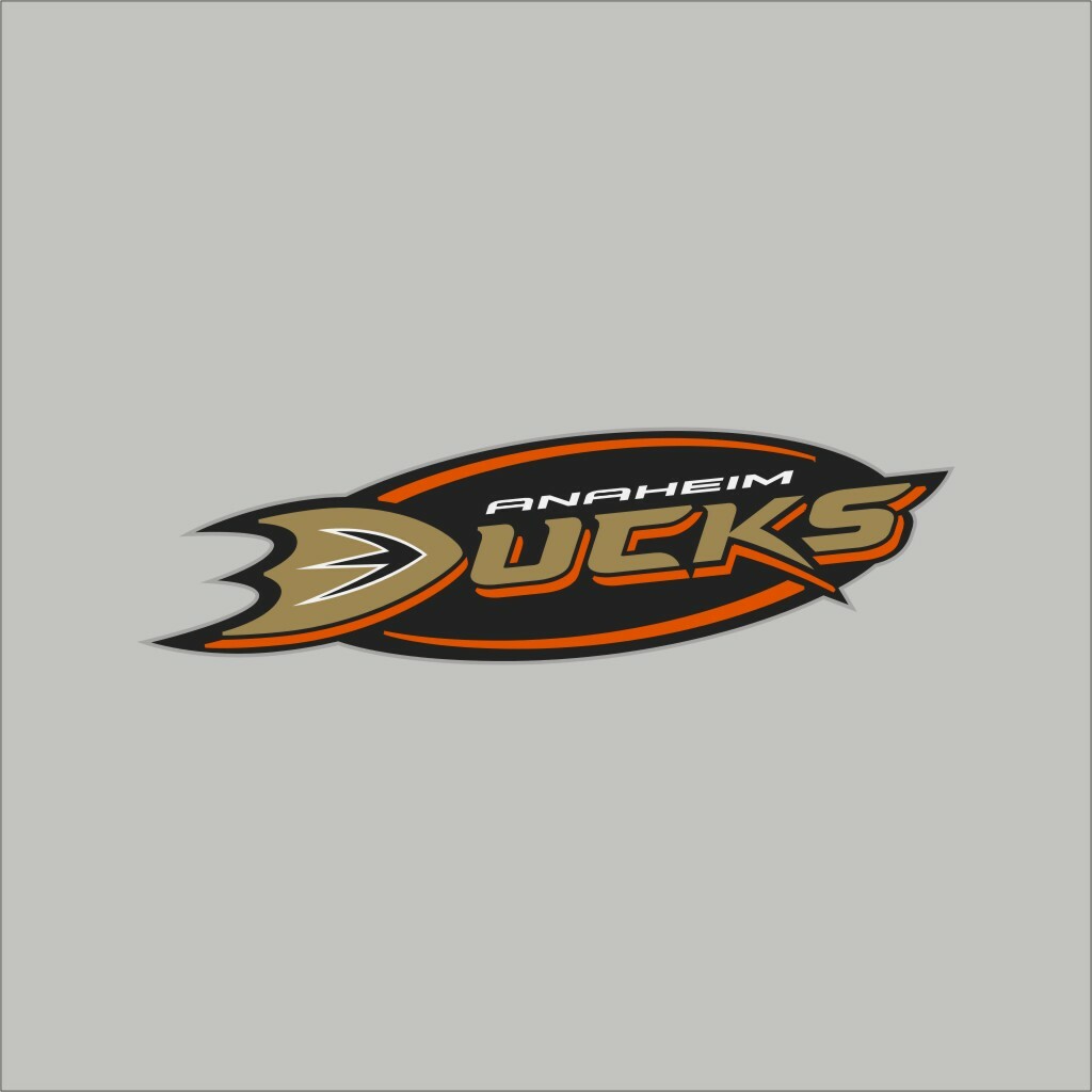 Anaheim Ducks #3 NHL Team Pro Sports Vinyl Sticker Decal Car Window Wall