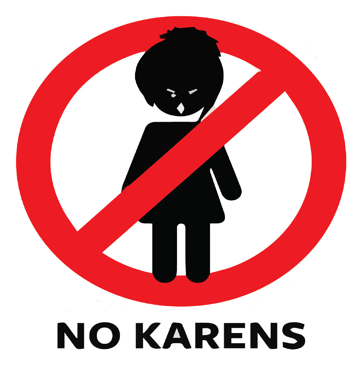 No KARENS Funny Not Allowed Decal Trending 2 PACK HIGH GLOSS Vinyl Sticker