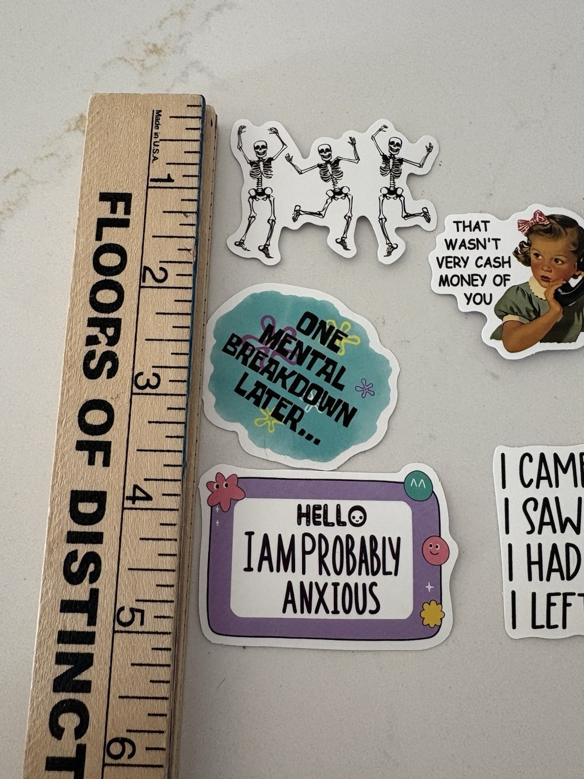 Set Of 5 Funny Quirky Sayings Stickers Skeletons Cats Words Quotes