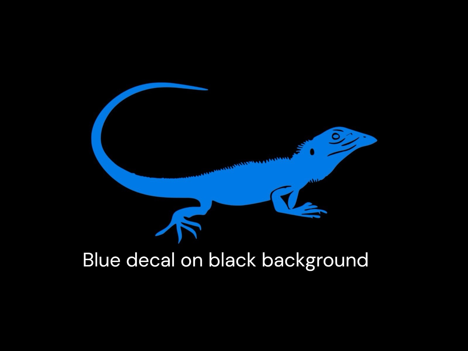 Lizard design#4 Decal for car Windows Laptops most Smooth Surfaces