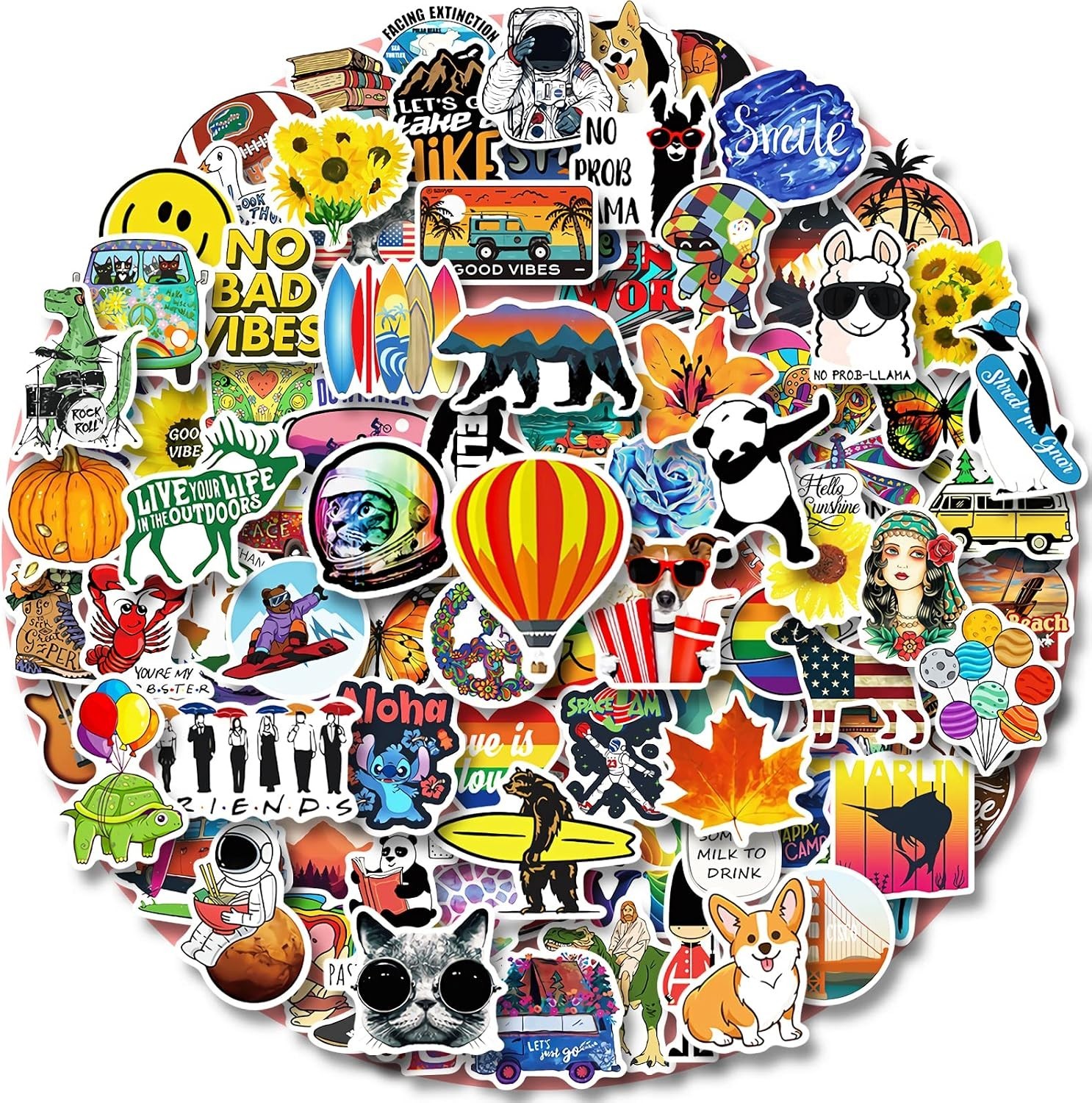 100 PCS Water Bottle Stickers for Kids Teens Girls Adults, Aesthetic Cute Vin…