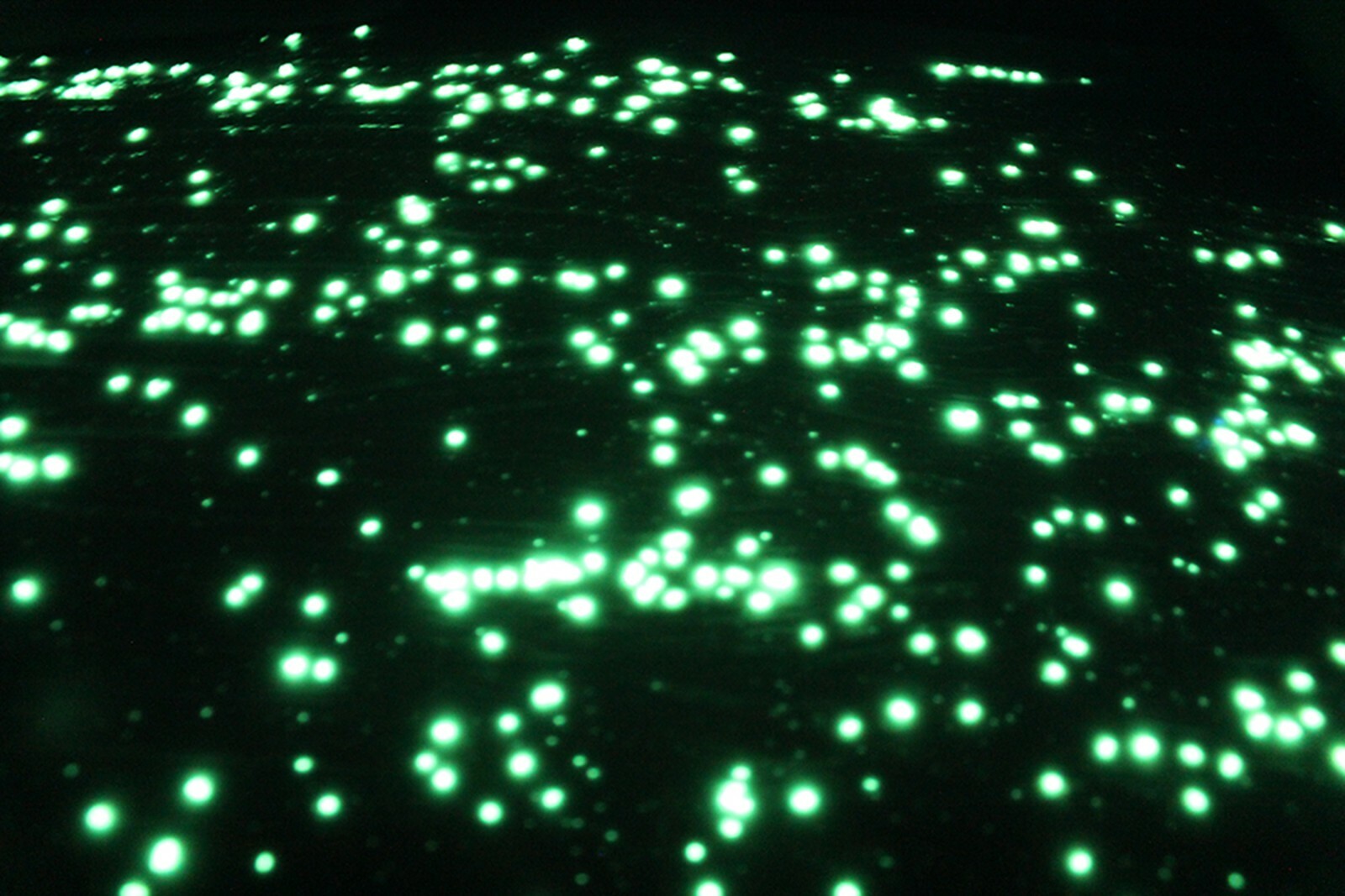 GREEN Extreme StarMaker Glow in the dark paint 4 oz pot , luminescent,