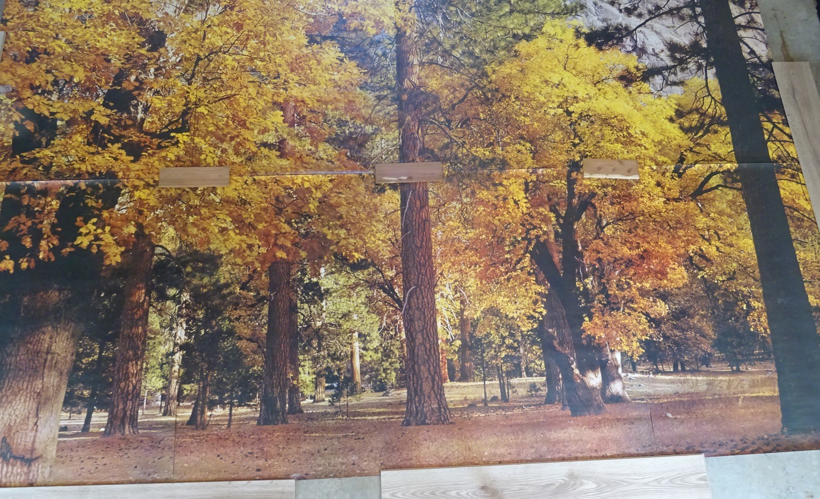 Full Wall Photo Mural Autumn Yosemite National Park Josef Muench 8’ 8” x 12’ 6”