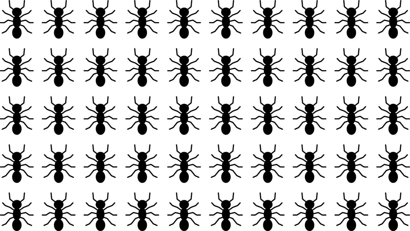 50 Die Cut Ants Decals Window Bumper Sticker Tumbler Kids Decor Bugs Insects