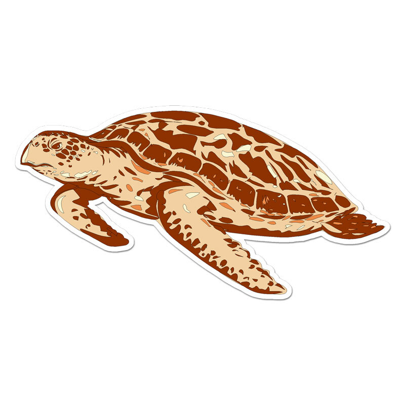 Sea Turtle, Vinyl Decal Sticker, Indoor Outdoor, 3 Sizes, #11982