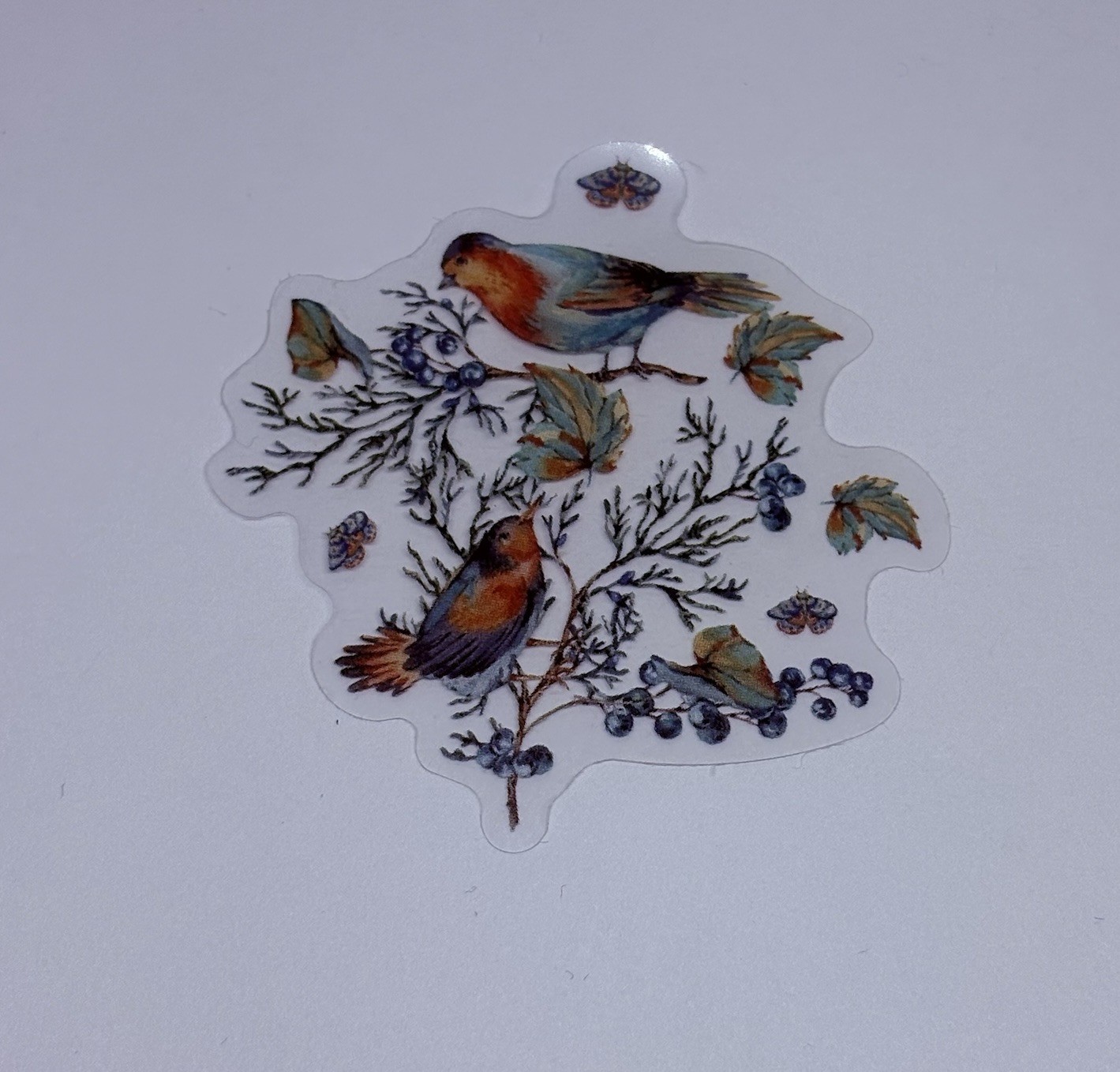 Woodland Birds Fir Branch Sticker Animal Art Transparent Journal Decal VinylTc6