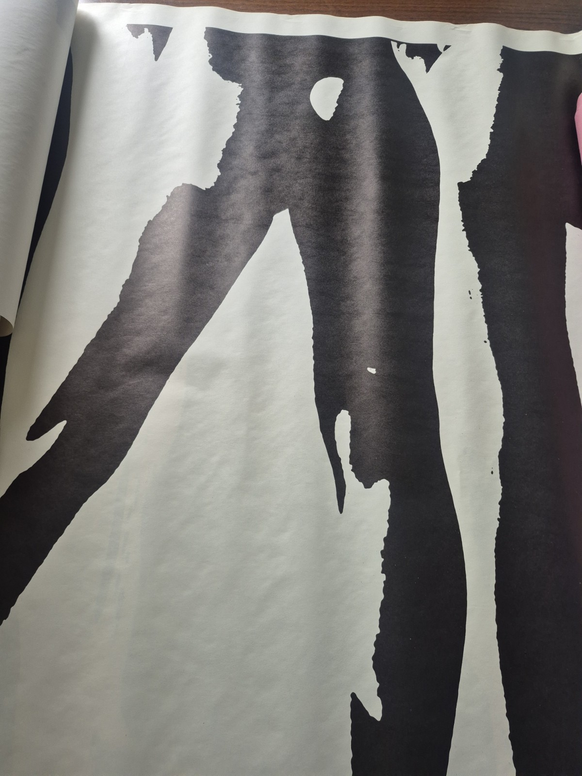 Environmental Graphics Store Display Nude Black White Art Mural Pannels 1990's