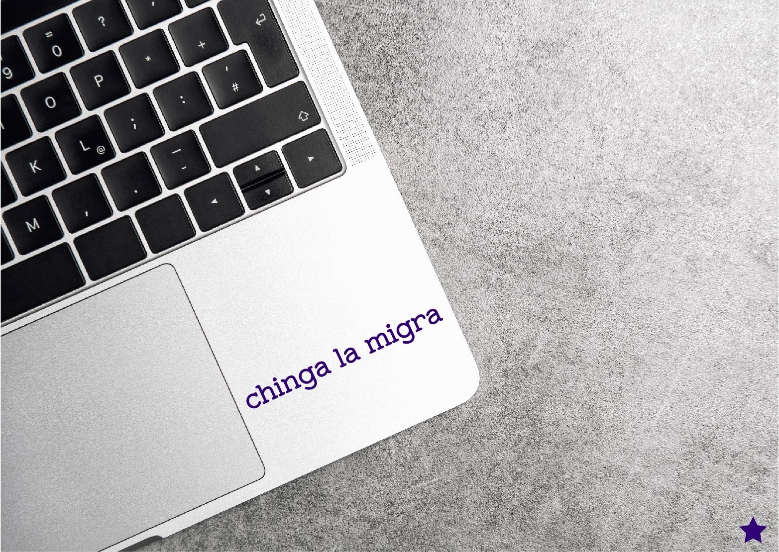 Chinga La Migra Decal Sticker Anti Ice Spanish Mexico No Kings F*** Trump MAGA