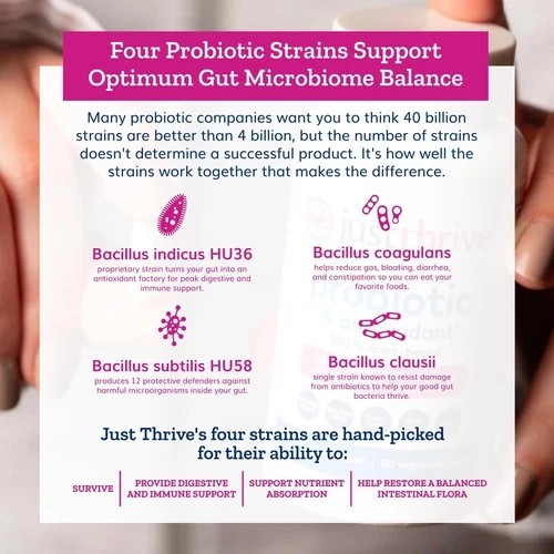 Probiotic & Antioxidant Supplement – 100% Spore-Based Digestive and