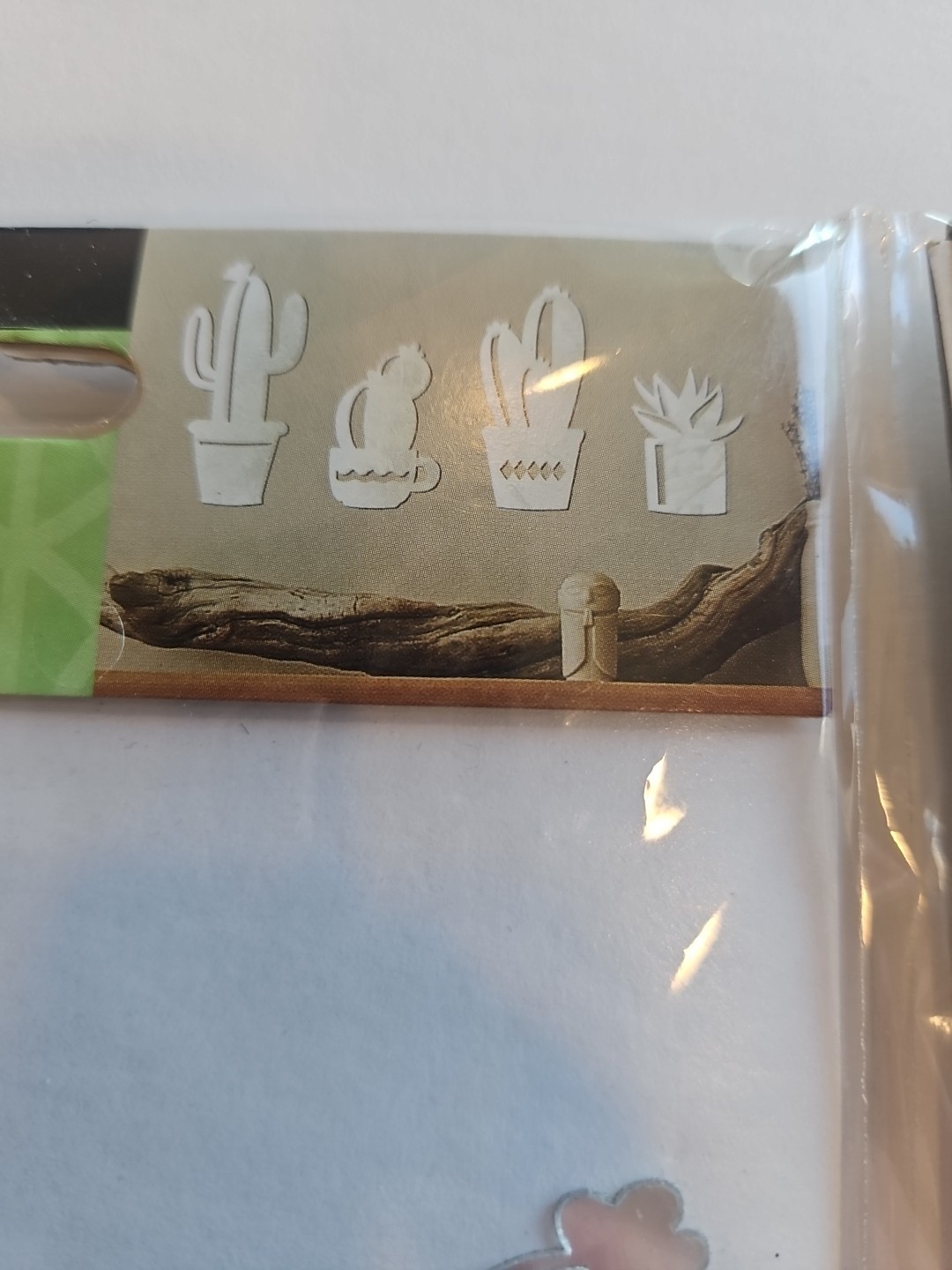 2 Main Street Wall Creations Peel & Stick Cactus Succulents Mirror Plants Decor